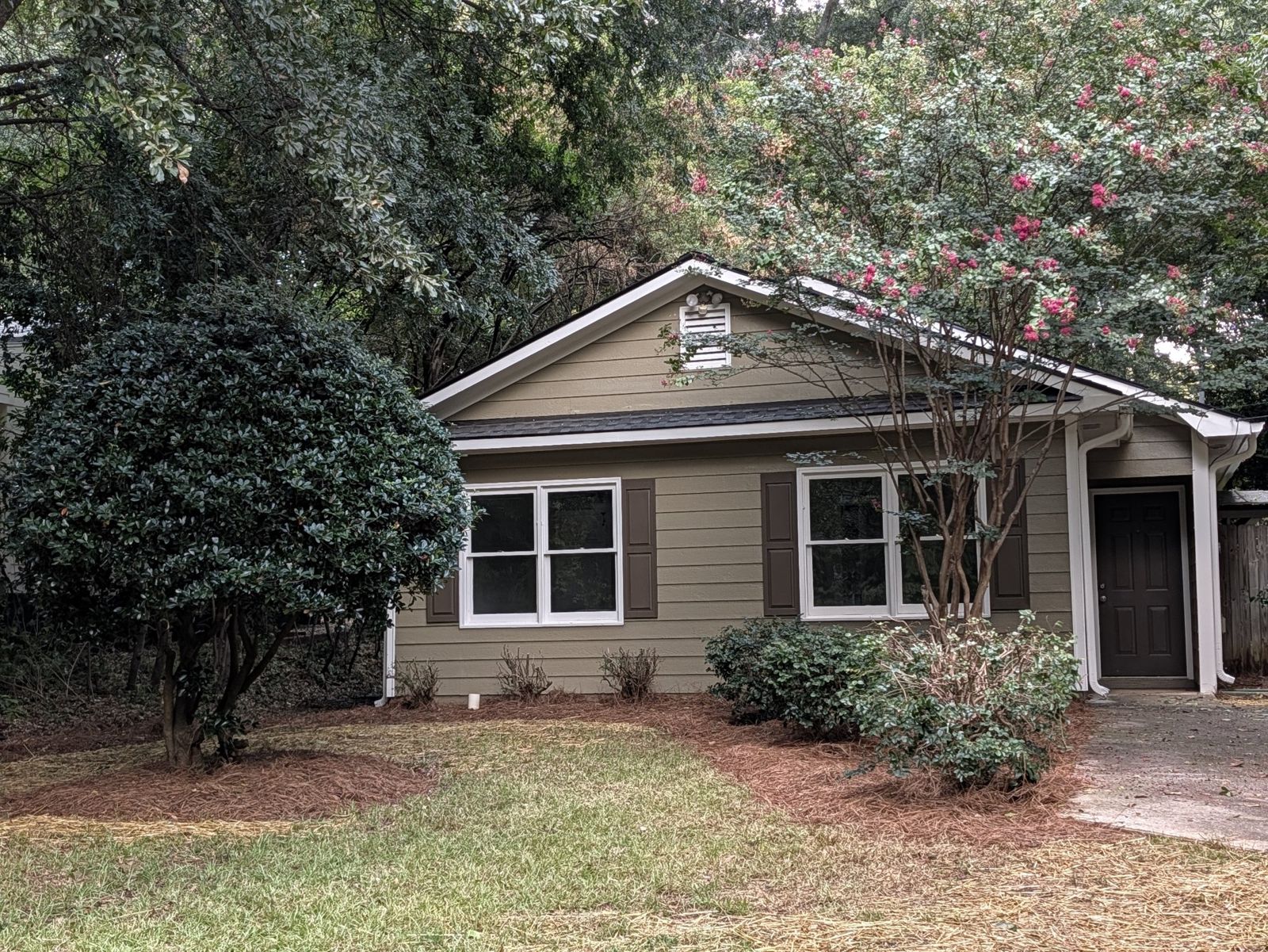 Sunset Drive house under a blooming crape myrtle